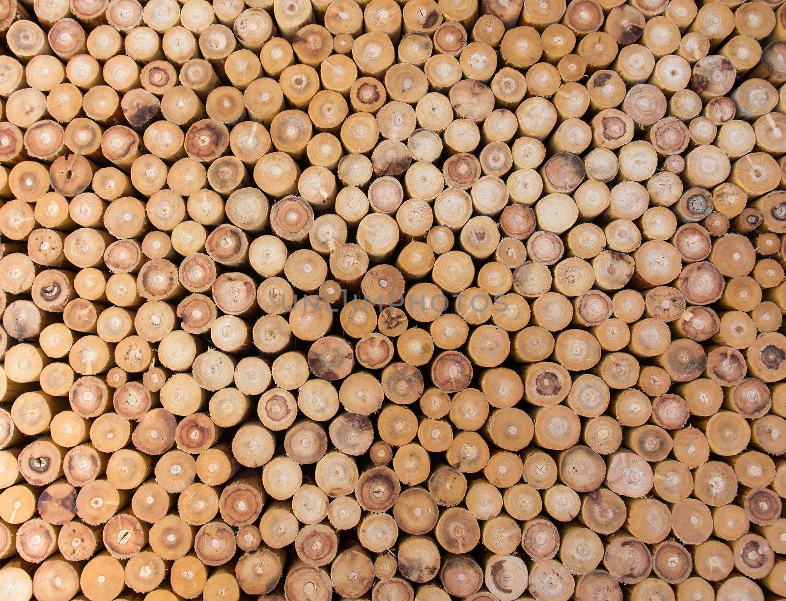 wood logs of the timber for the background.