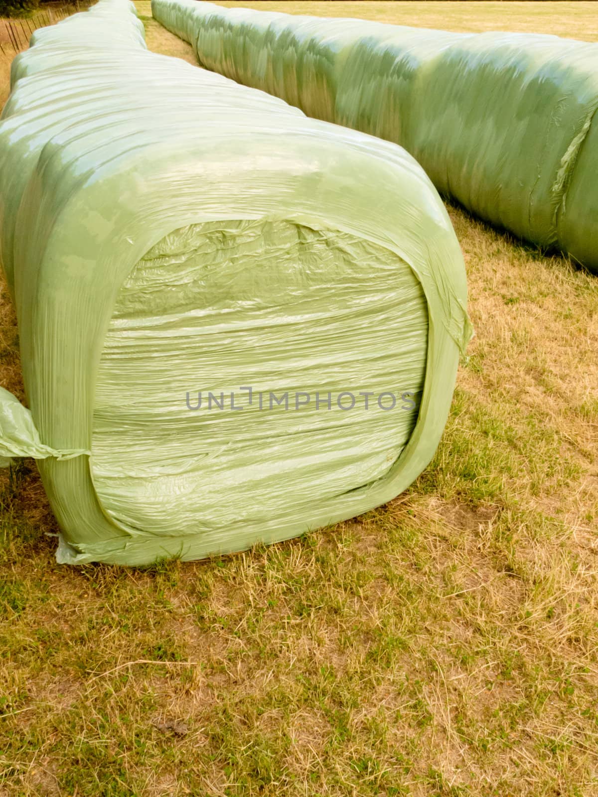 Haylage bales left outdoors for fermentation by PiLens