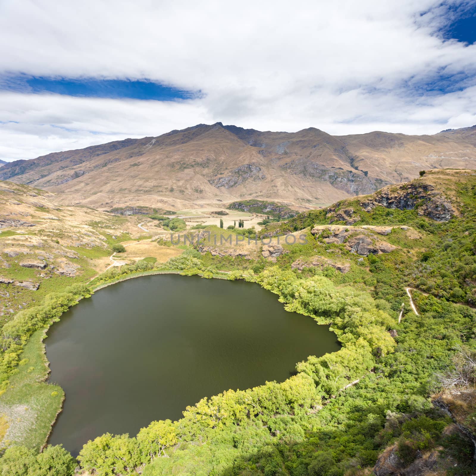 Small lake with lush green vegetation forming an oasis in the summer dry highlands near Wanaka in Central Otago, New Zealand