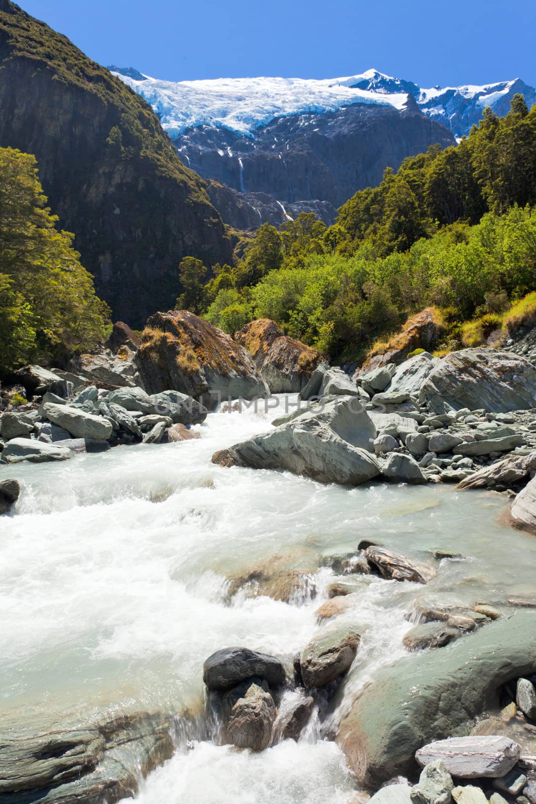 Beautiful glacial river running off hanging Rob Roy Glacier in Mount Aspiring National Park, Southern Alps, New Zealand