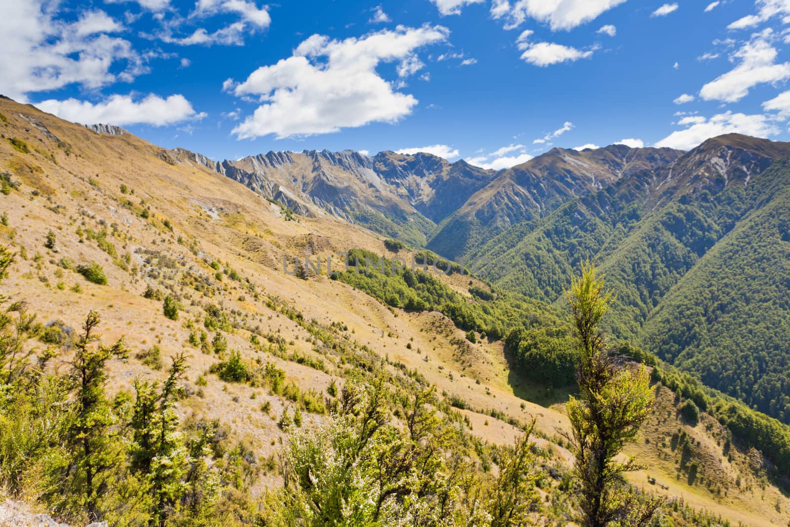 Beautiful alpine landscape scenery in Central Otago, Southern Alps, New Zealand