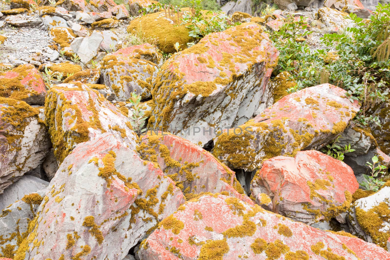 Rock boulders covered with orange lichens and moss background texture pattern