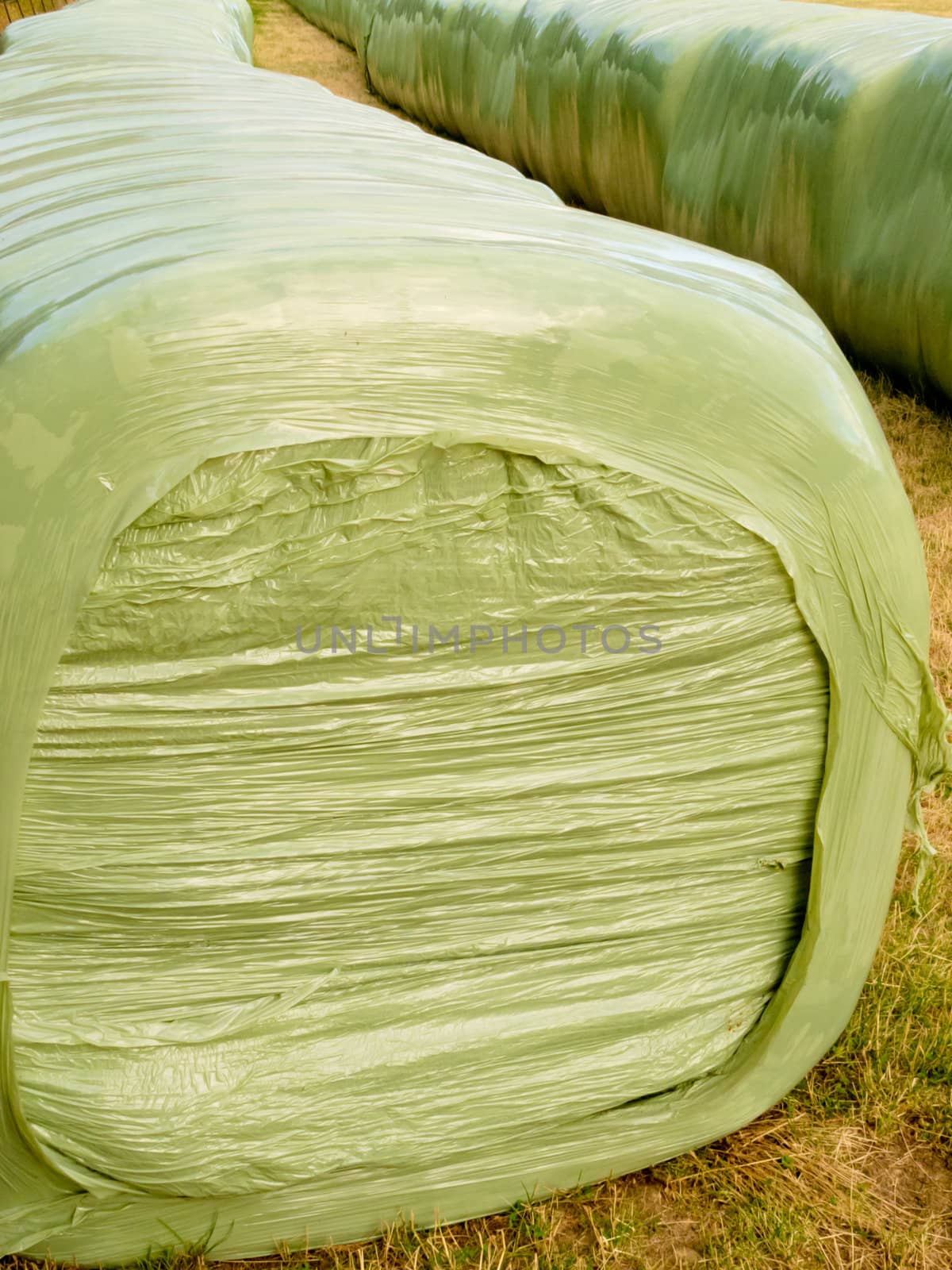 Rows of stacked silage or haylage bales, hay sealed in plastic wrapper left outdoors for fermentation to feed livestock