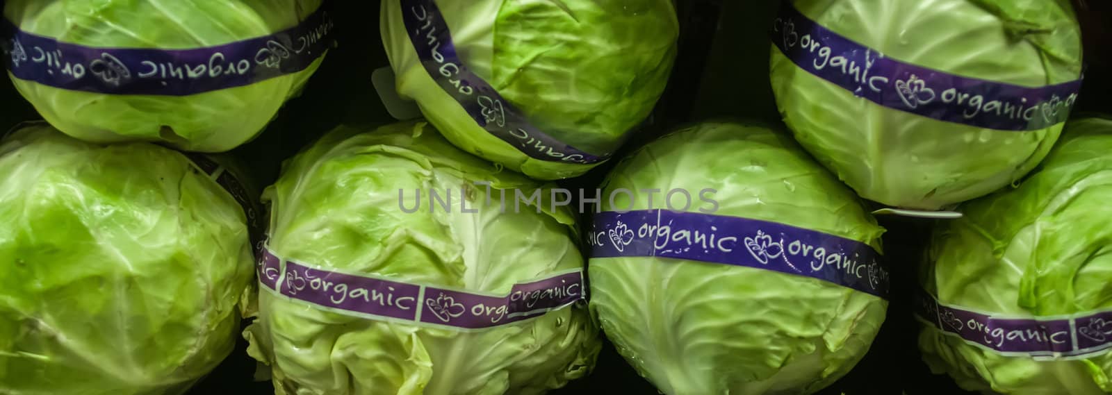 organic lettuce on display at farmers market