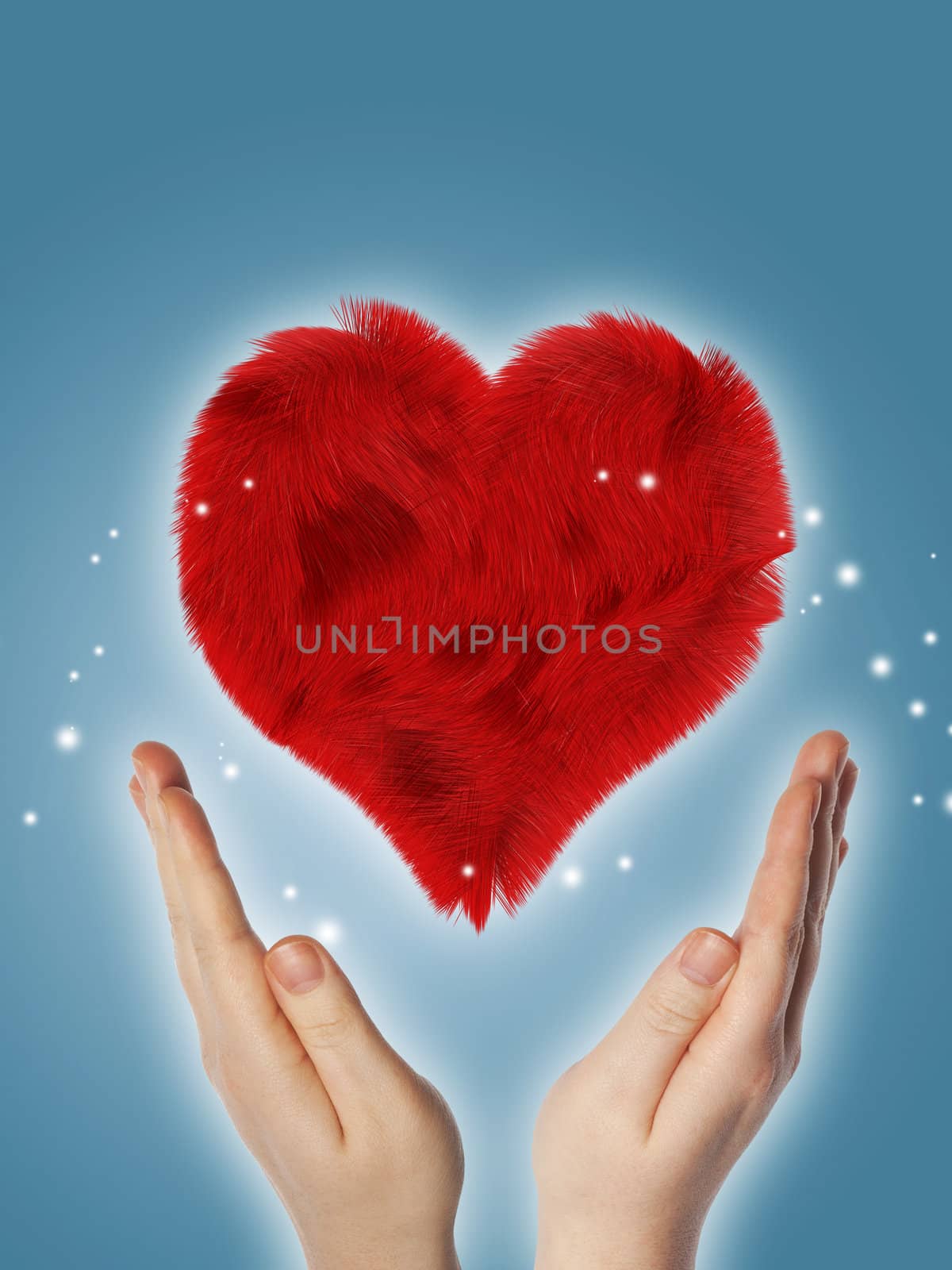 two hands holding a red furry heart on blue background