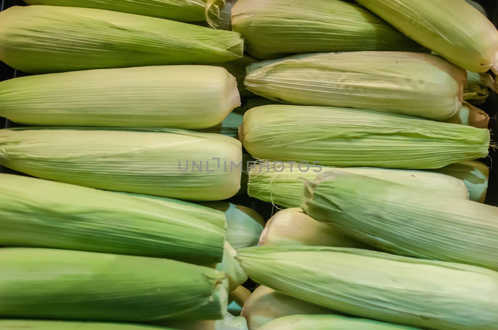 corn on display at farmers market by digidreamgrafix