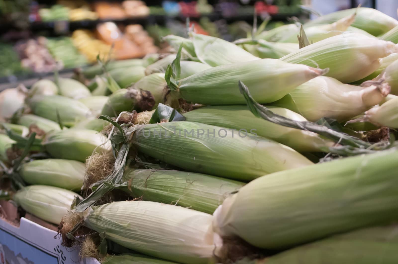 corn on display at farmers market by digidreamgrafix