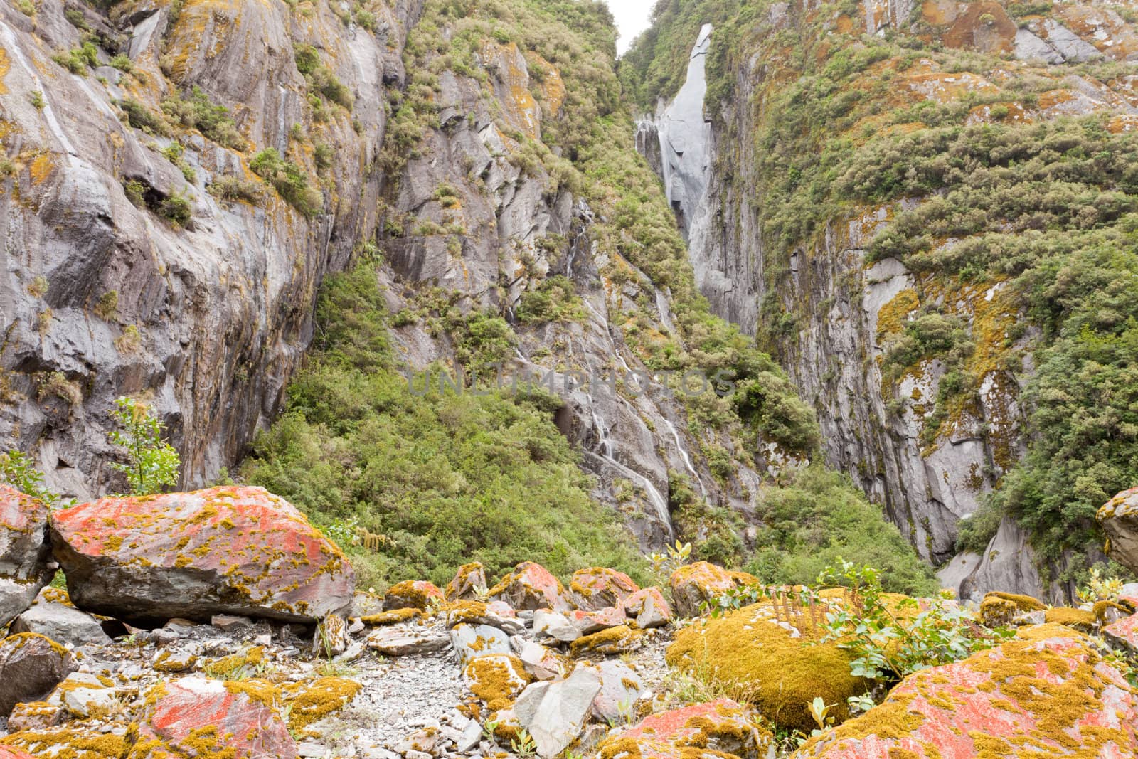Rugged mountain wilderness vegetation background texture pattern