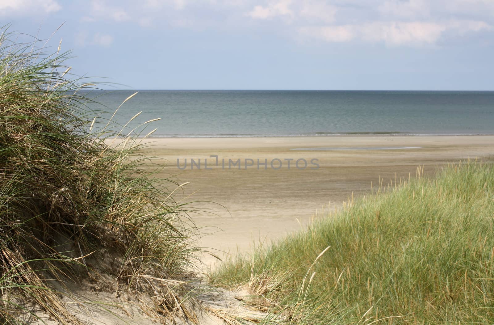 Dunes and the gorgeous wide beach of Jammerbugt, near Roedhus, North Jutland, Denmark, on a very sunny August day in 2010.