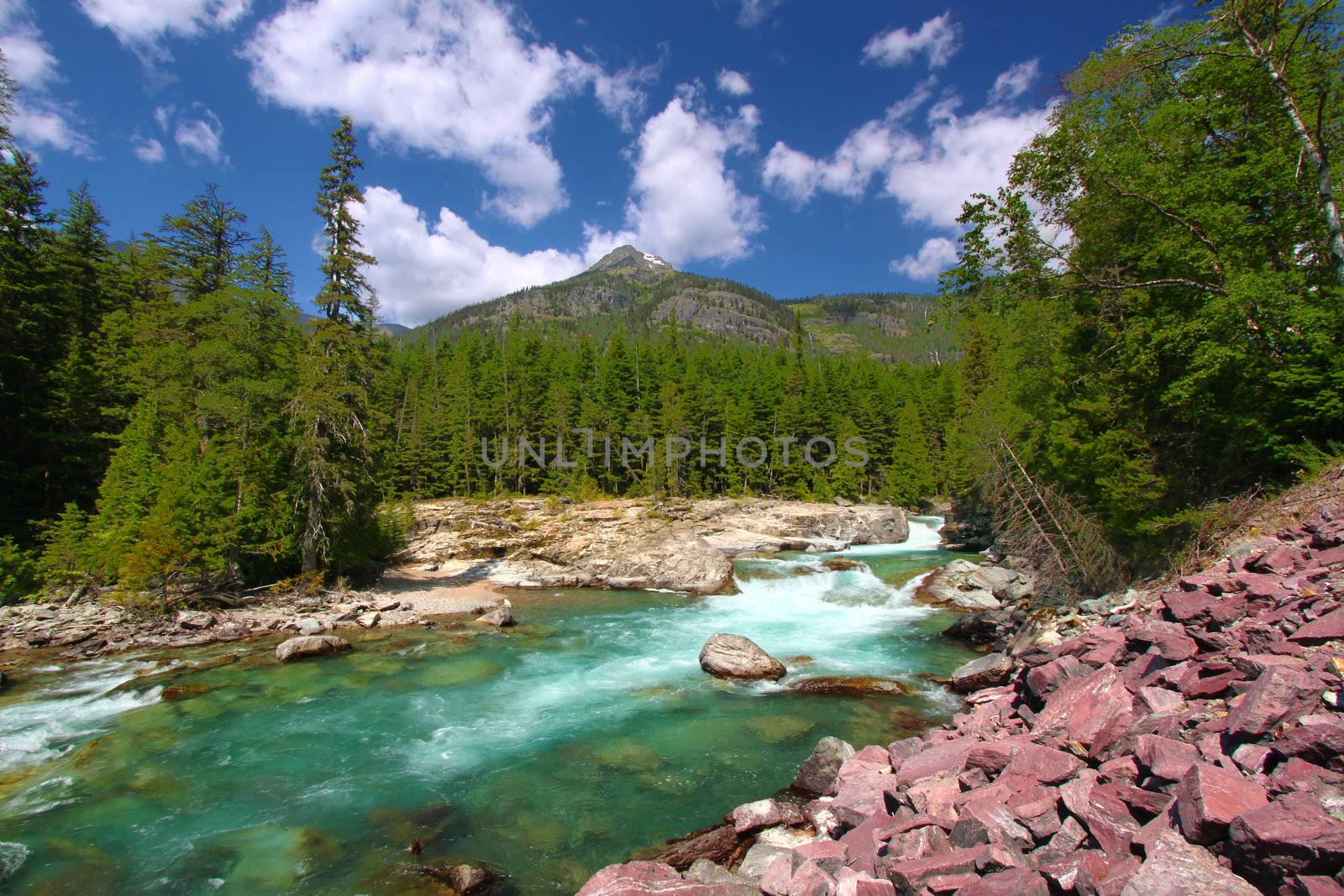 McDonald Creek flows swiftly through the forests of Glacier National Park in Montana.