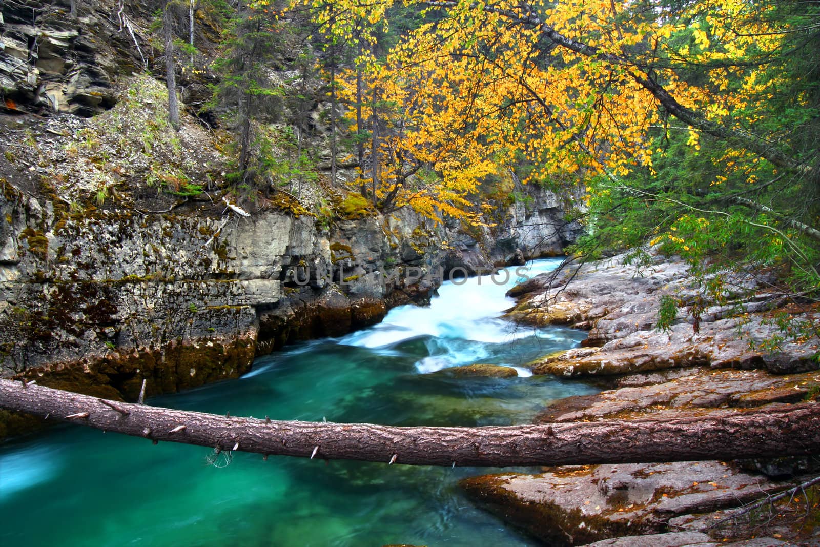 Beautiful blue waters flow through Maligne Canyon of Jasper National Park in Canada.