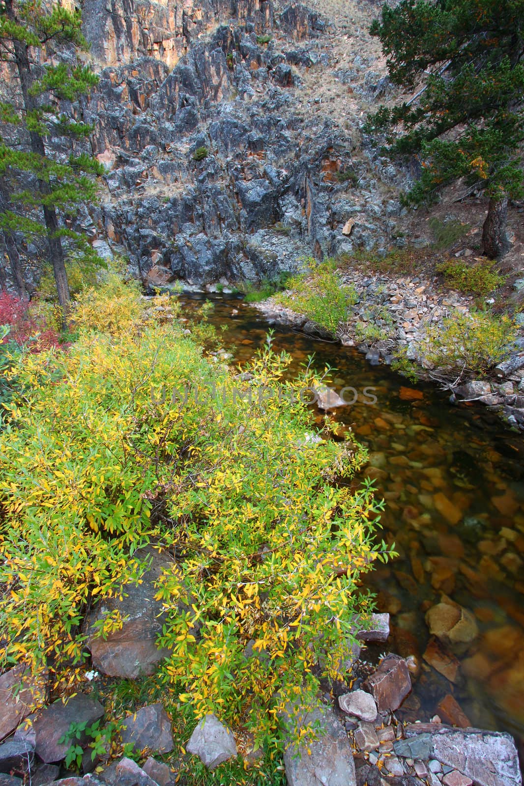 Stream ripples through rocky cliffs in the Lewis and Clark National Forest of Montana.