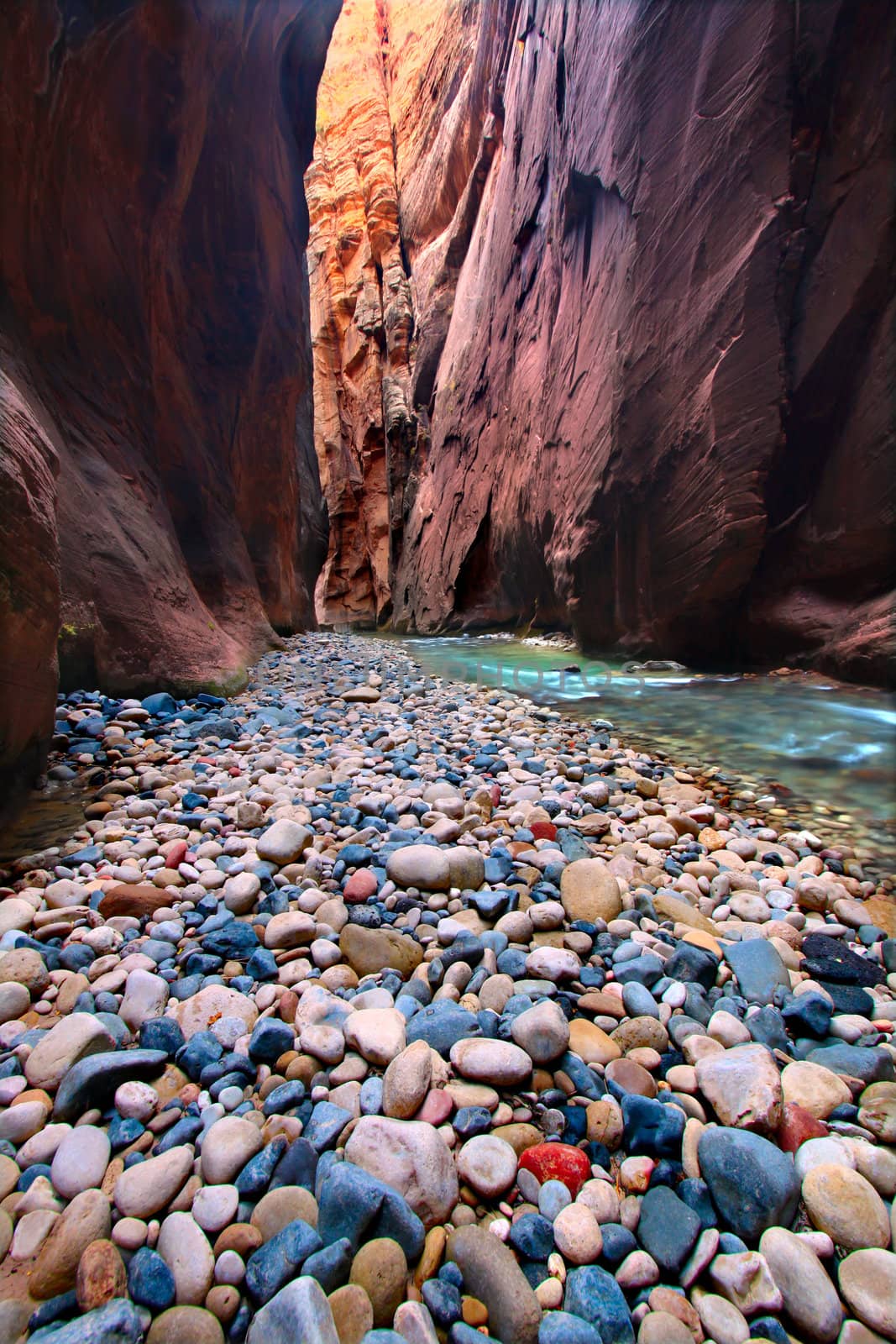 The Narrows of the Virgin River in Zion National Park of Utah.