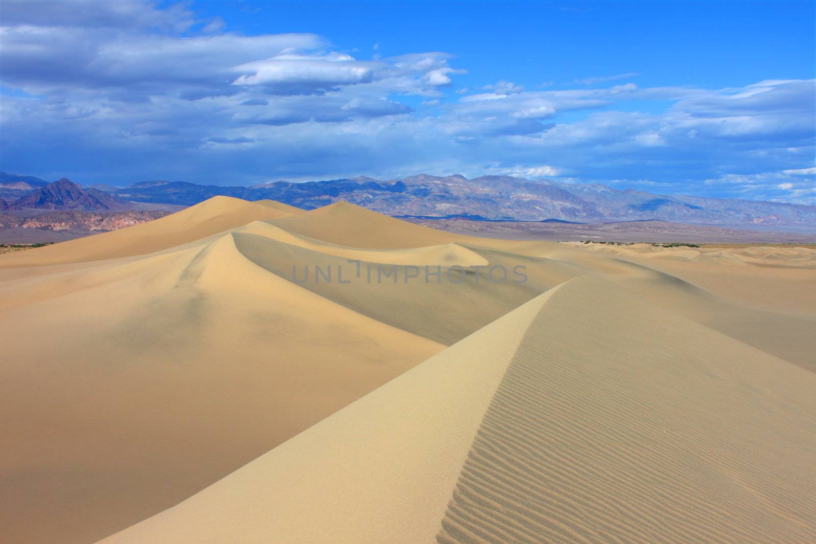 Mesquite Flat Sand Dunes by Wirepec