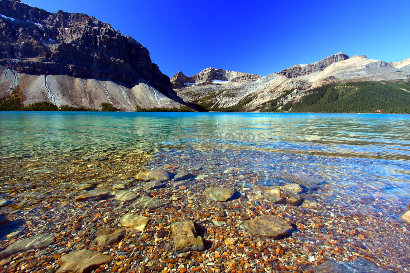 Rocky substrate visible under clear waters of Bow Lake in Banff National Park of Canada.