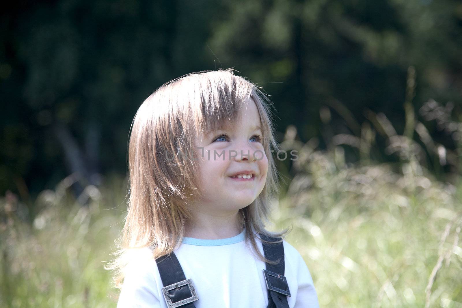 The little girl on a background of green meadow