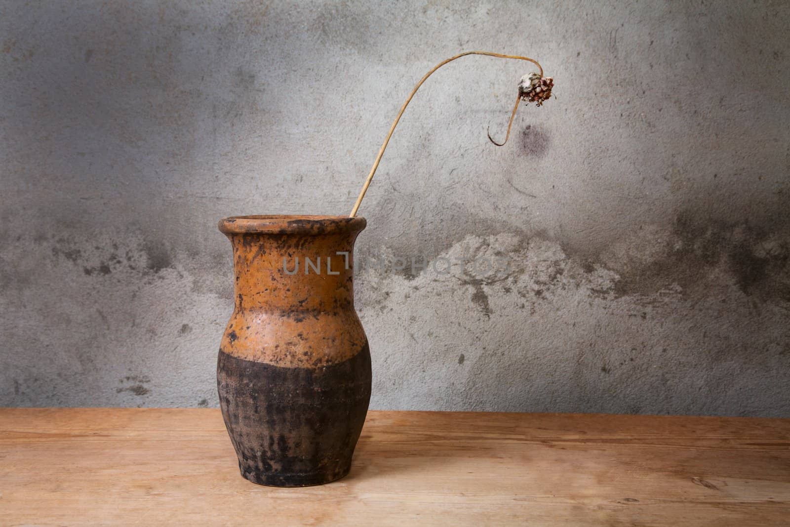 Still-life with an old jug and  dry plant on a wooden table