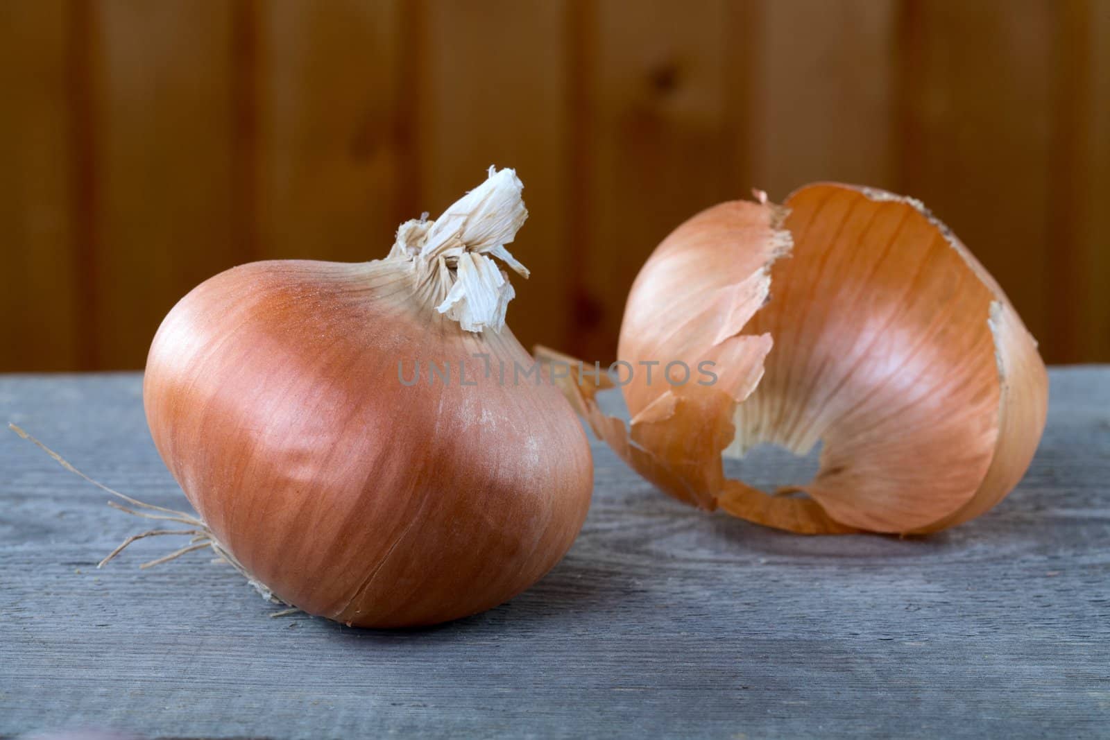 Onions and peel on a table from unplaned boards