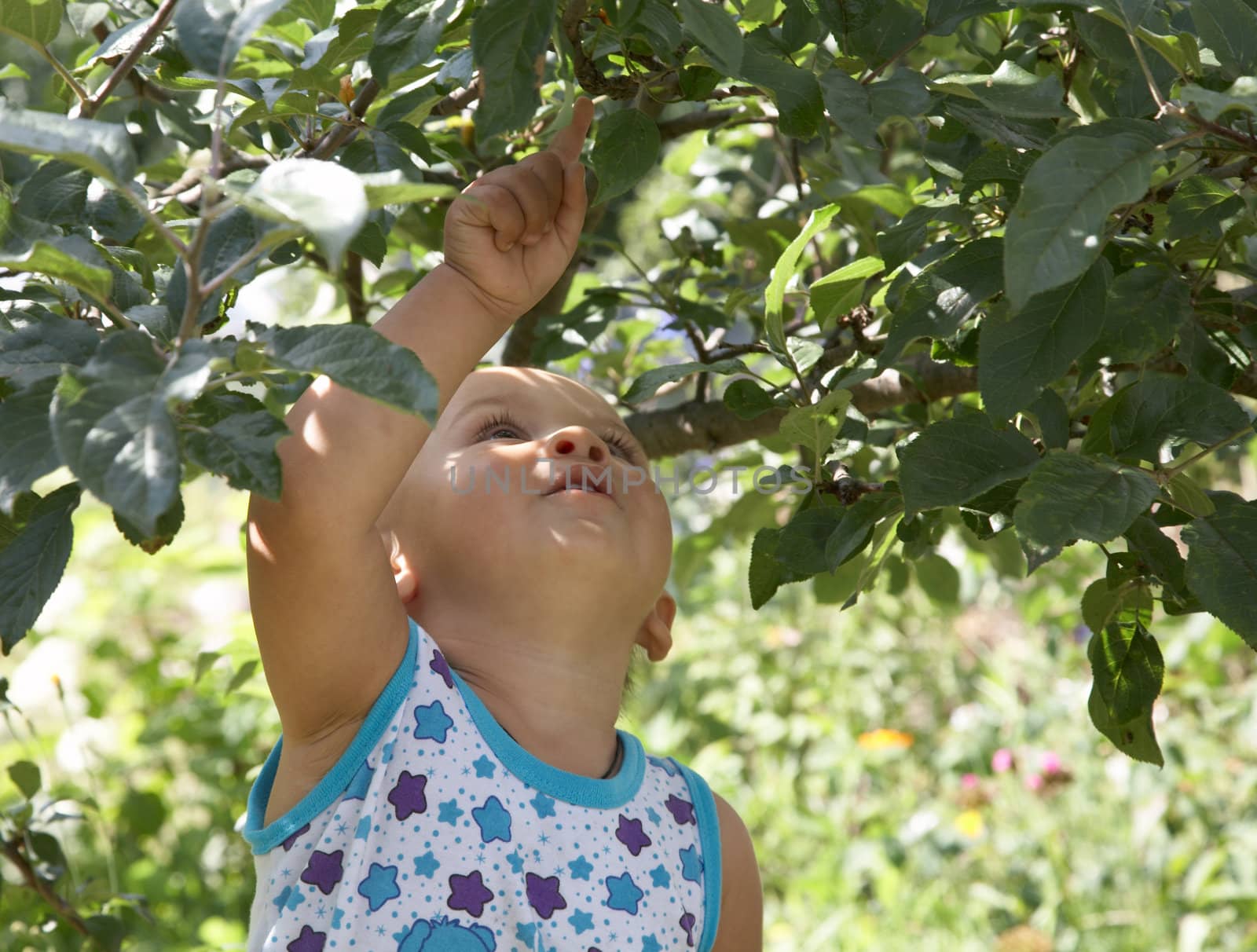 The little boy reaches for leaves of an apple-tree