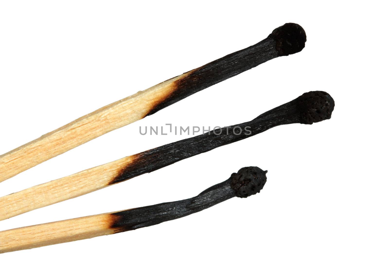 Match sticks, isolated on a white  background