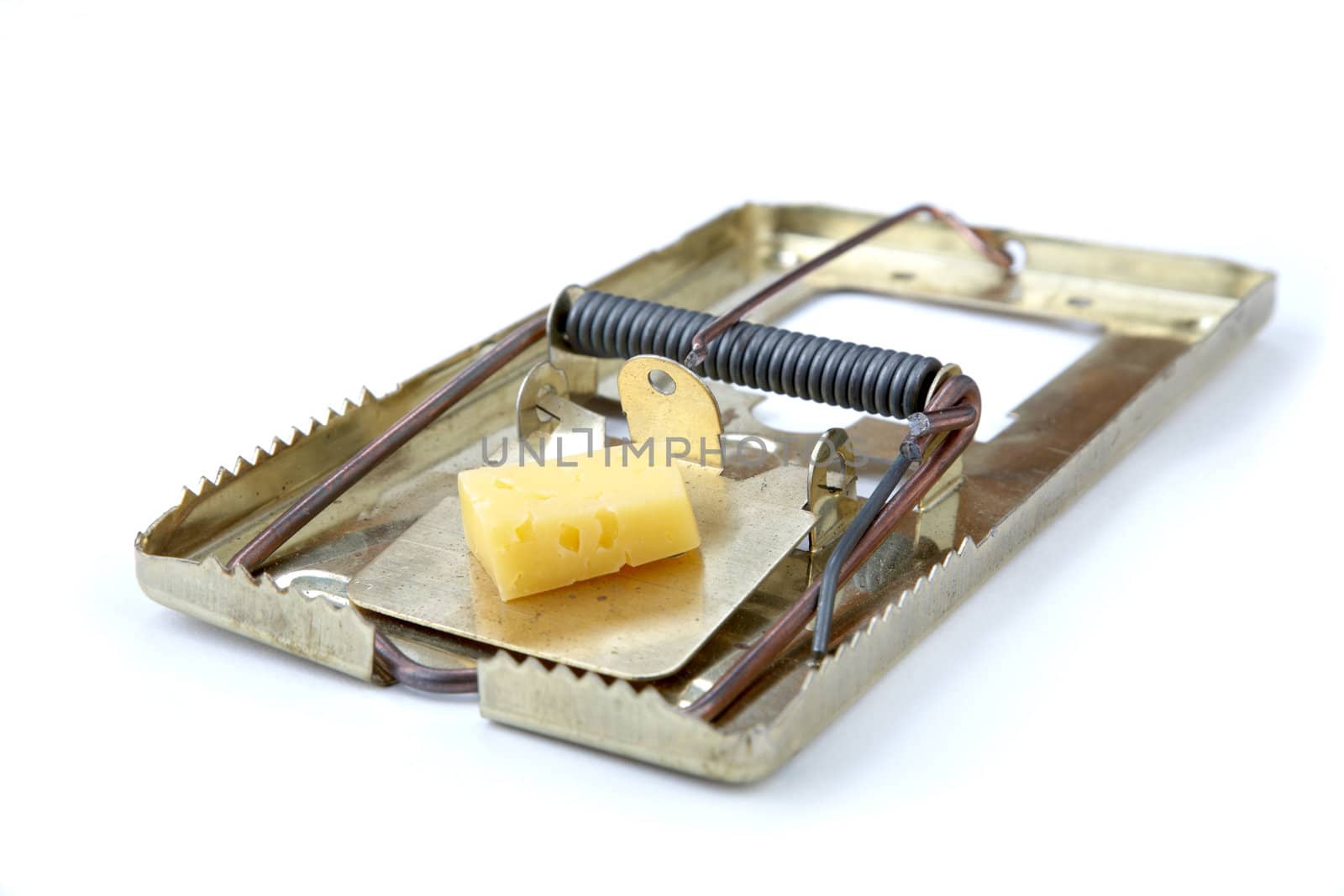 metallic mousetrap with cheese on a white background