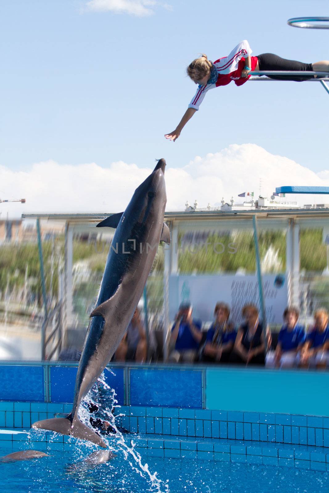 dolphin jumping high from bue water 