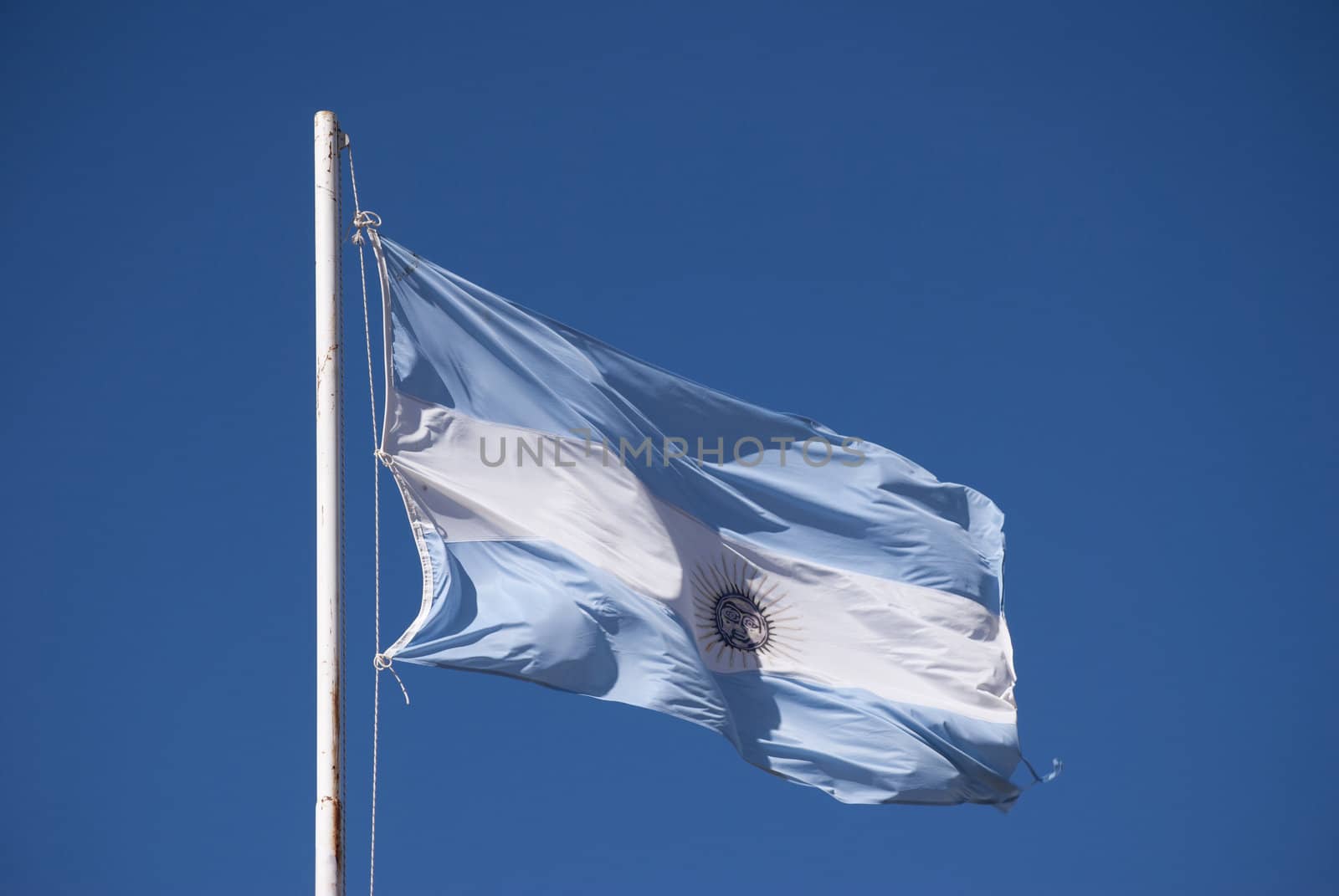 flag Argentina by lauria