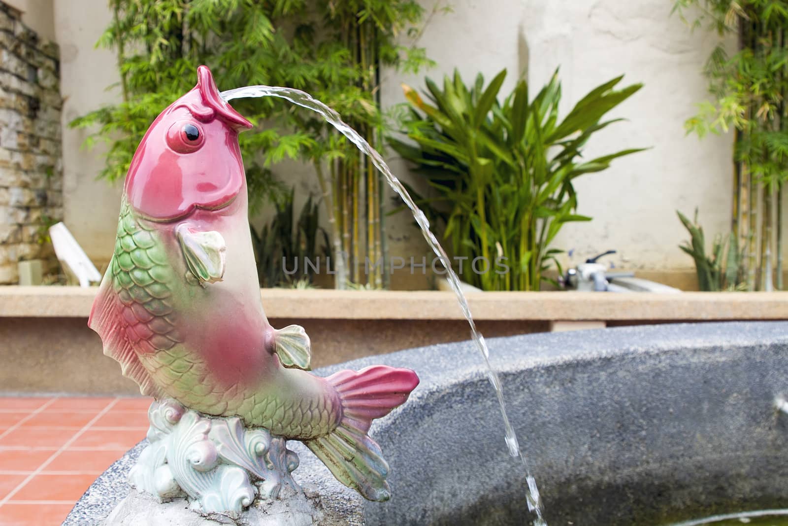 Koi Fish Statue Sprouting Water on Fountain Pond