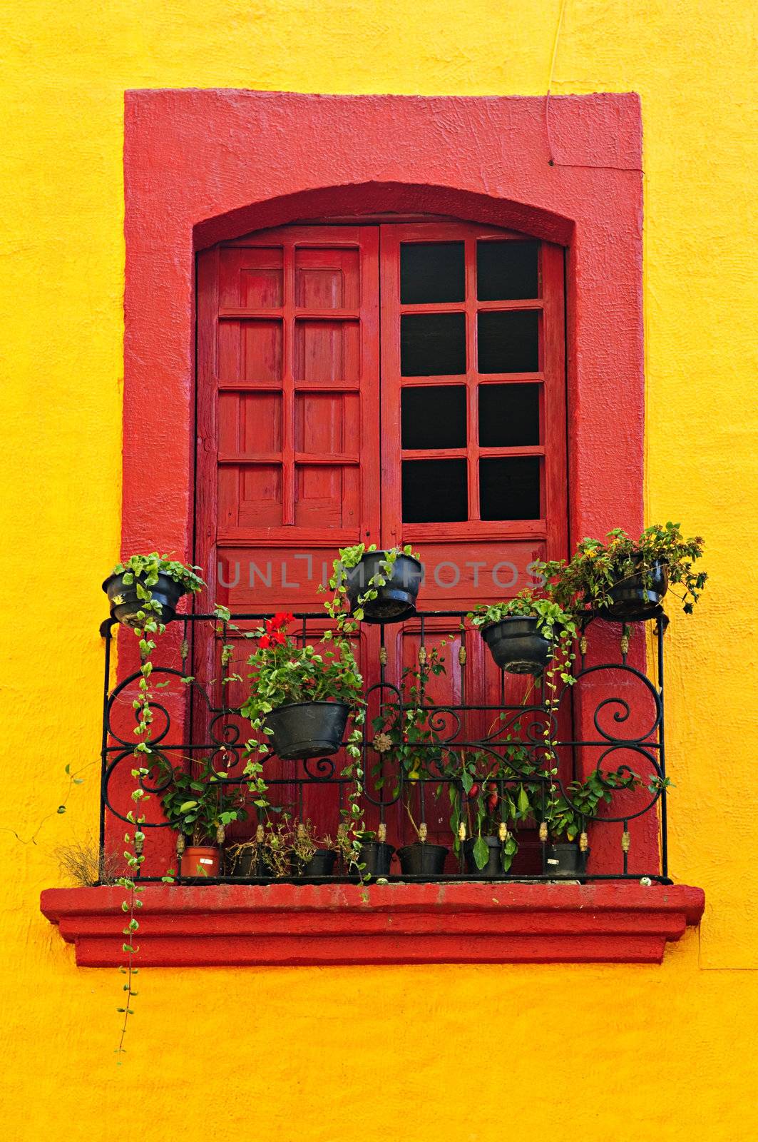 Red painted window with plants and wrought iron railing in Mexico