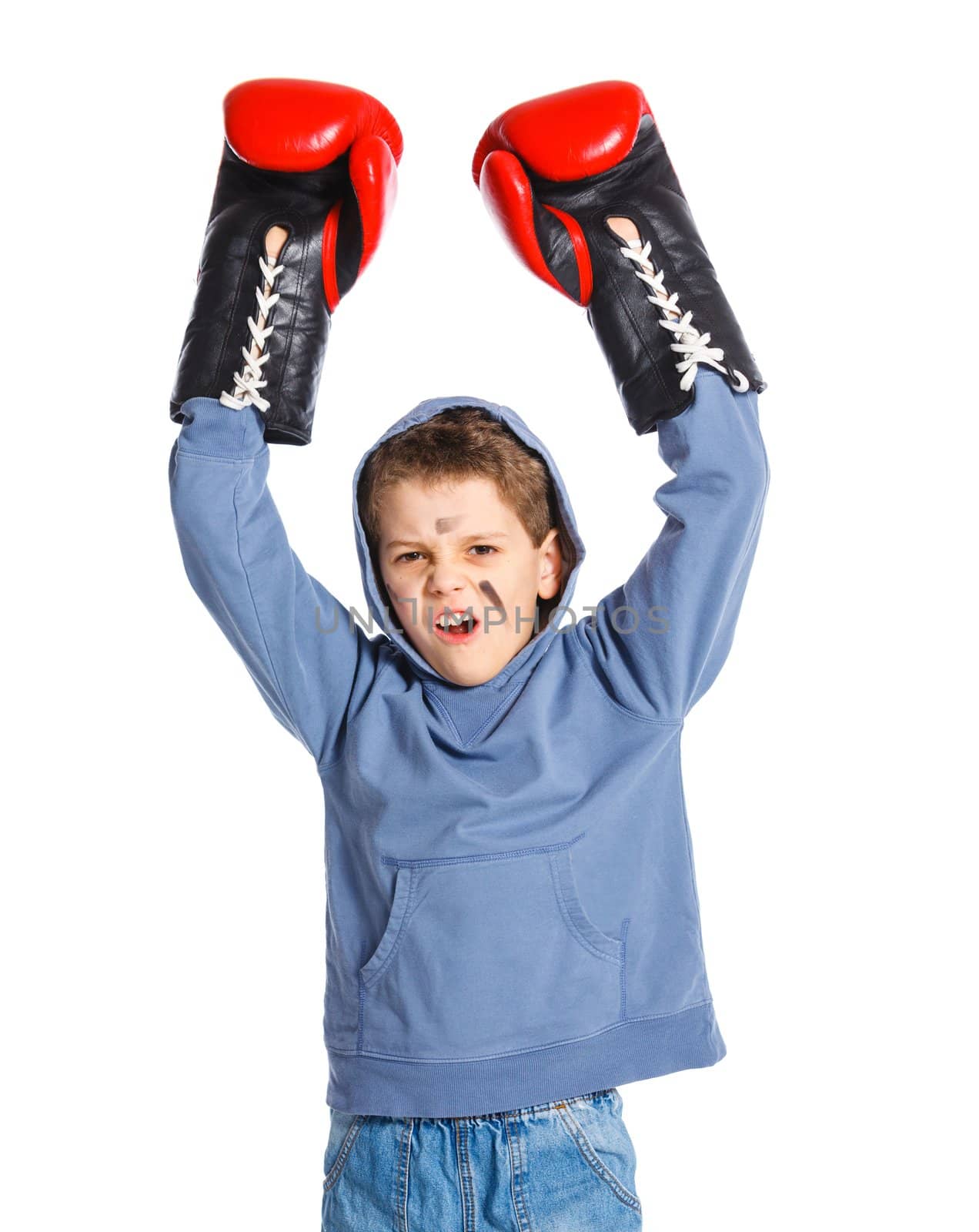 Cute winner Boxer - boy boxing wearing boxing gloves. Isolated on white background.