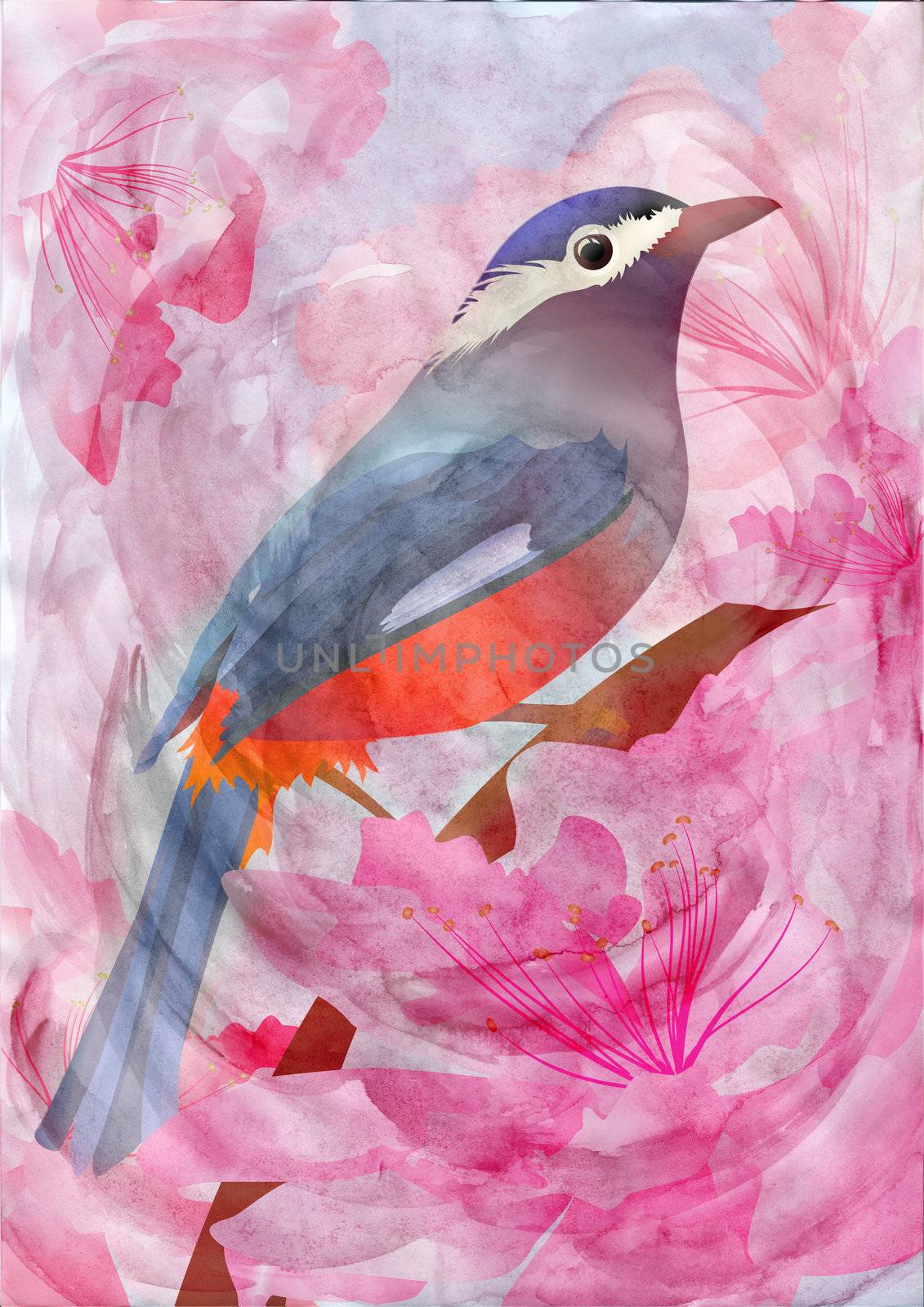 pink flowers and bird watercolor illustration