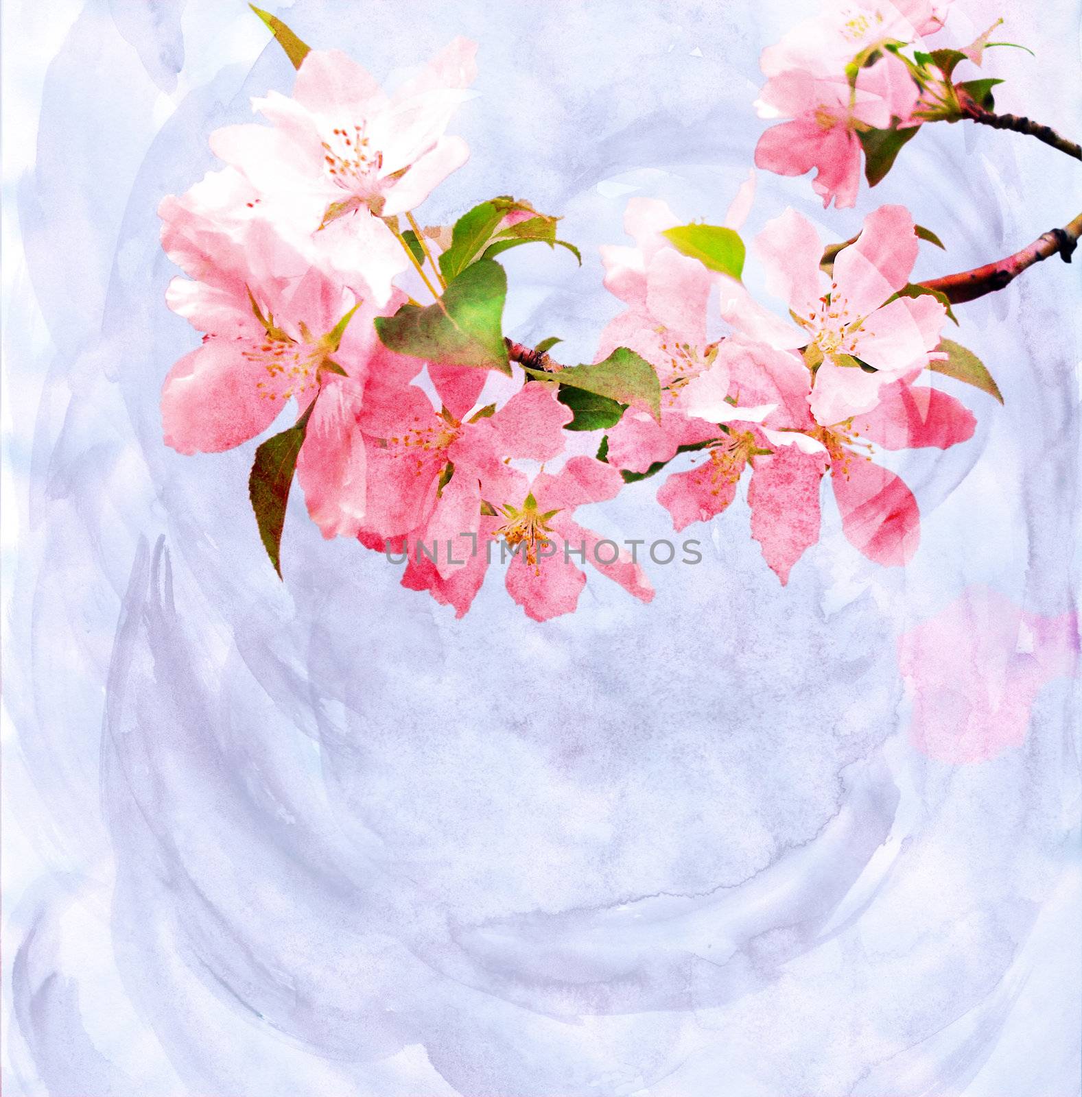 spring trees blossom watercolor illustration