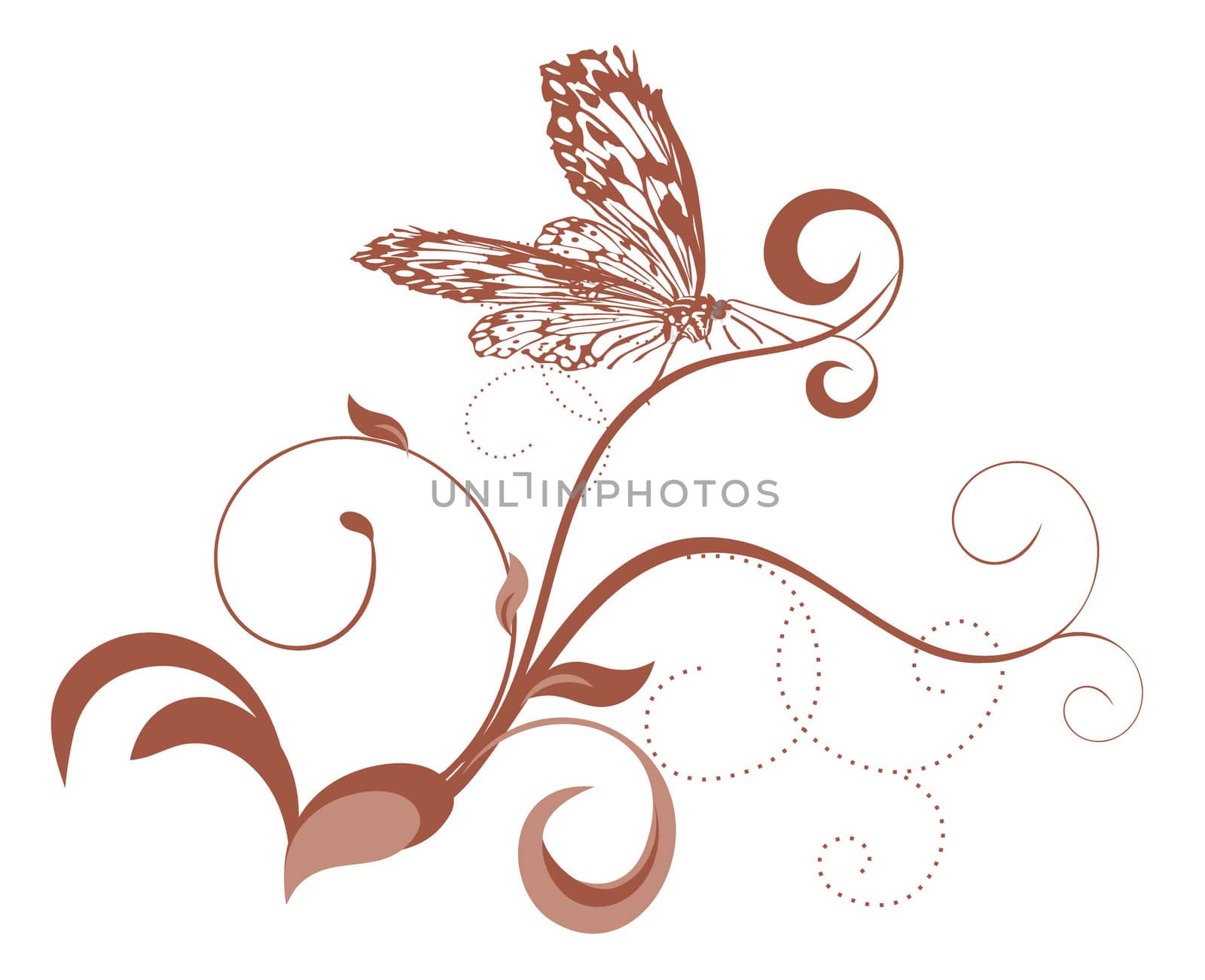 brown curves with butterfly