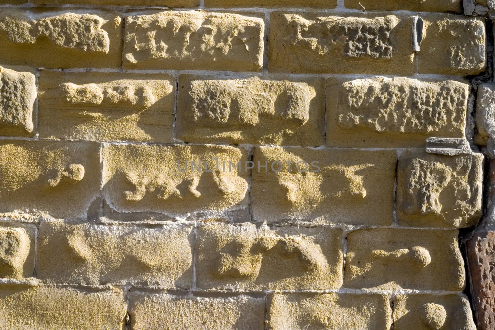 Old wall from a yellow brick.