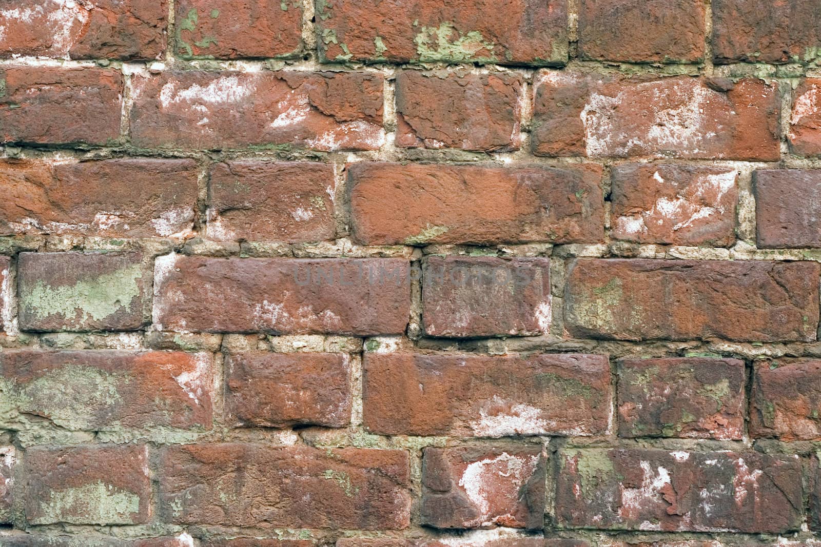 Old wall from a red brick.
