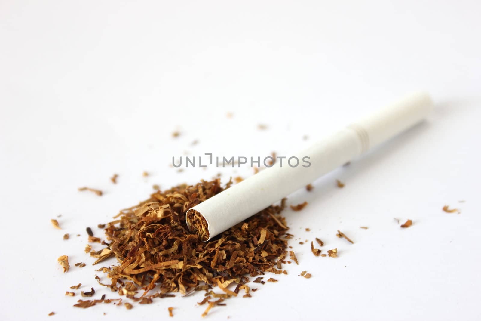 Isolated cigarette laying on pile of tobacco