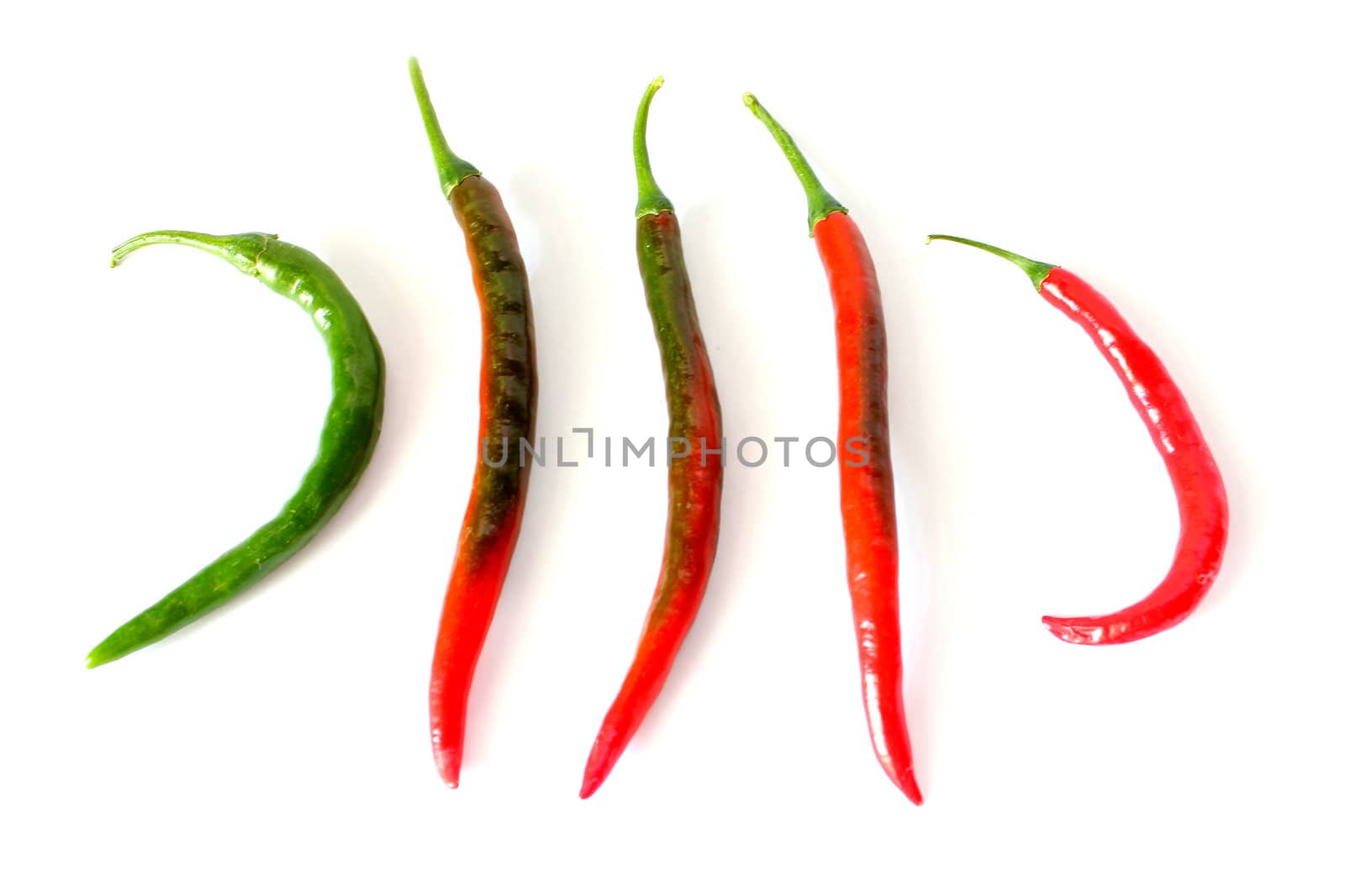Unripe to Ripe Cayenne Peppers by abhbah05