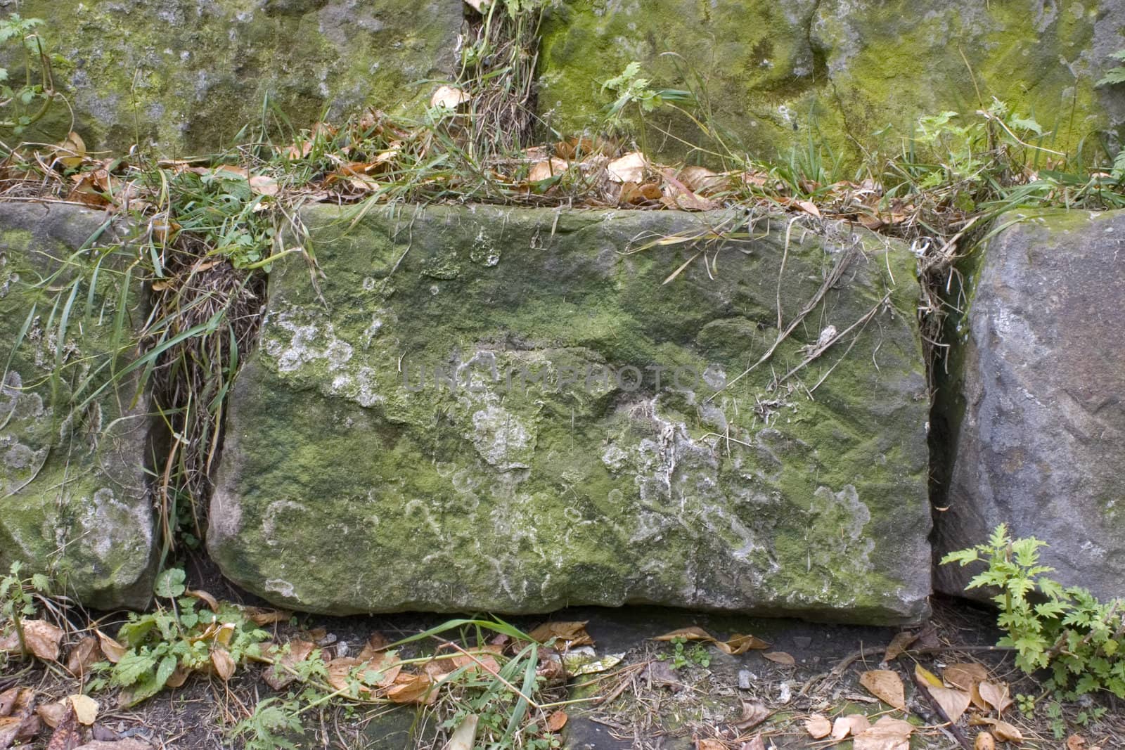 Stone wall, green grass, yellow sheet.