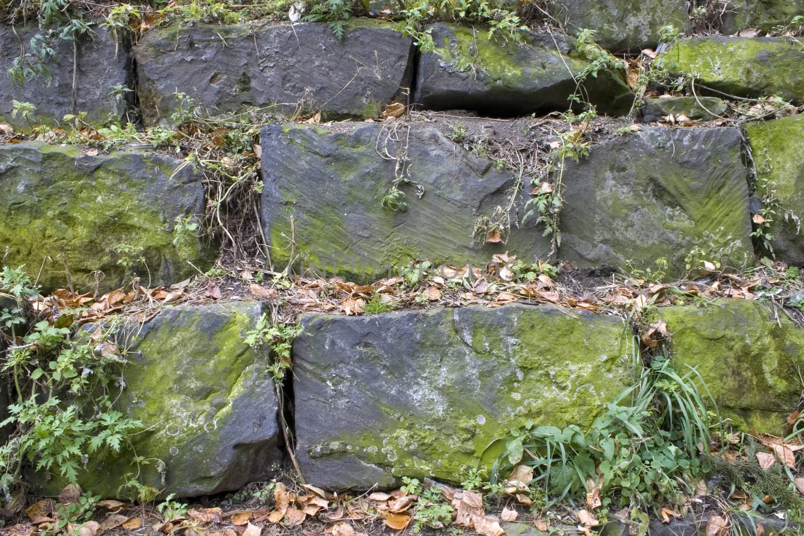 Stone wall, green grass, yellow sheet.