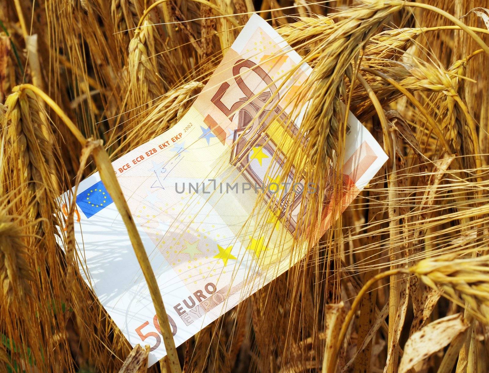 Paper money and barley. A concept of expensive food.