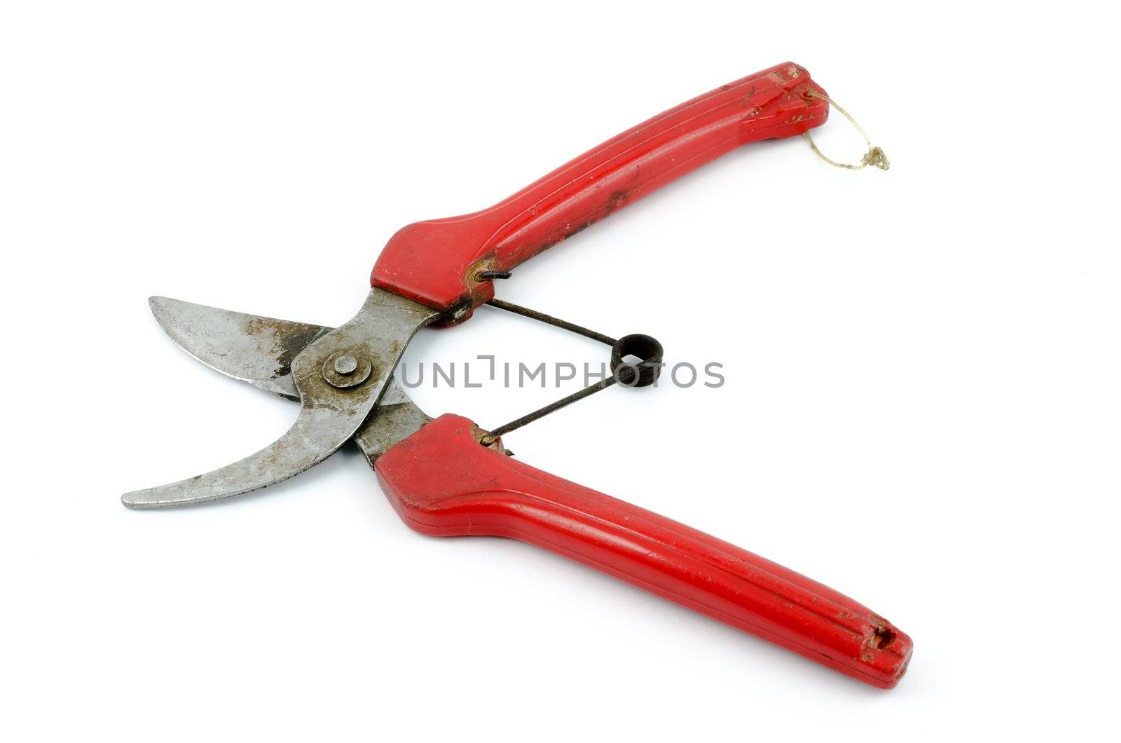 rusty scissors for gardening by Falara