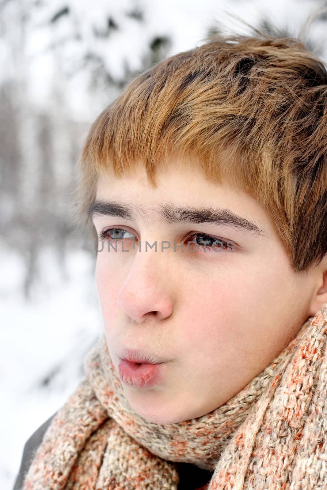 teenage boy portrait on hard frost in the winter forest