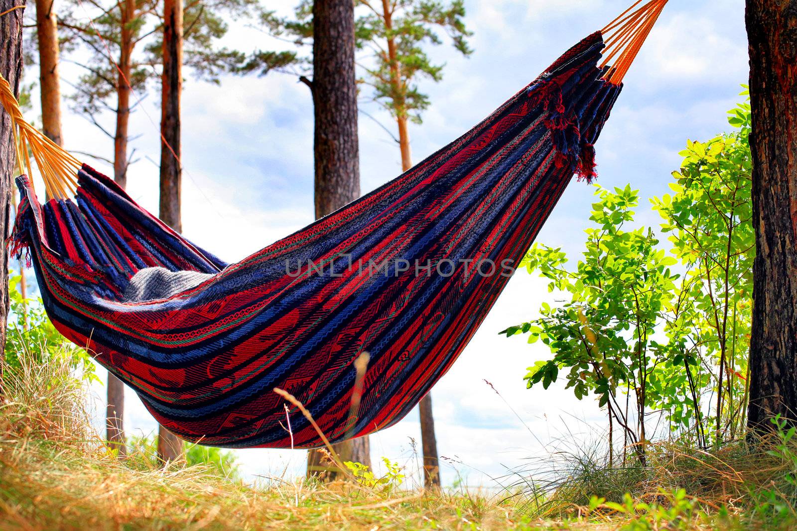 Person resting in the Hammock on the Nature
