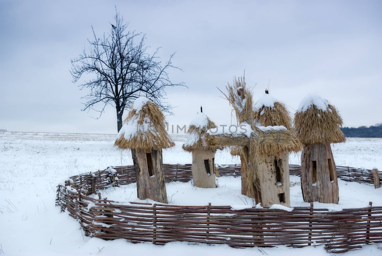 Landscape with beehives  and wooden fence , wintertime