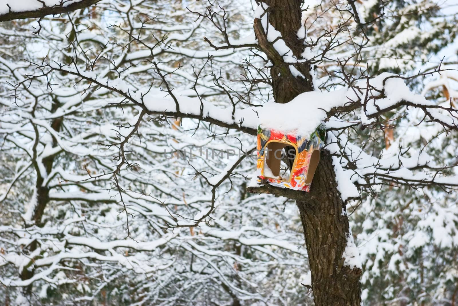 bird feeders carved from a cardboard box