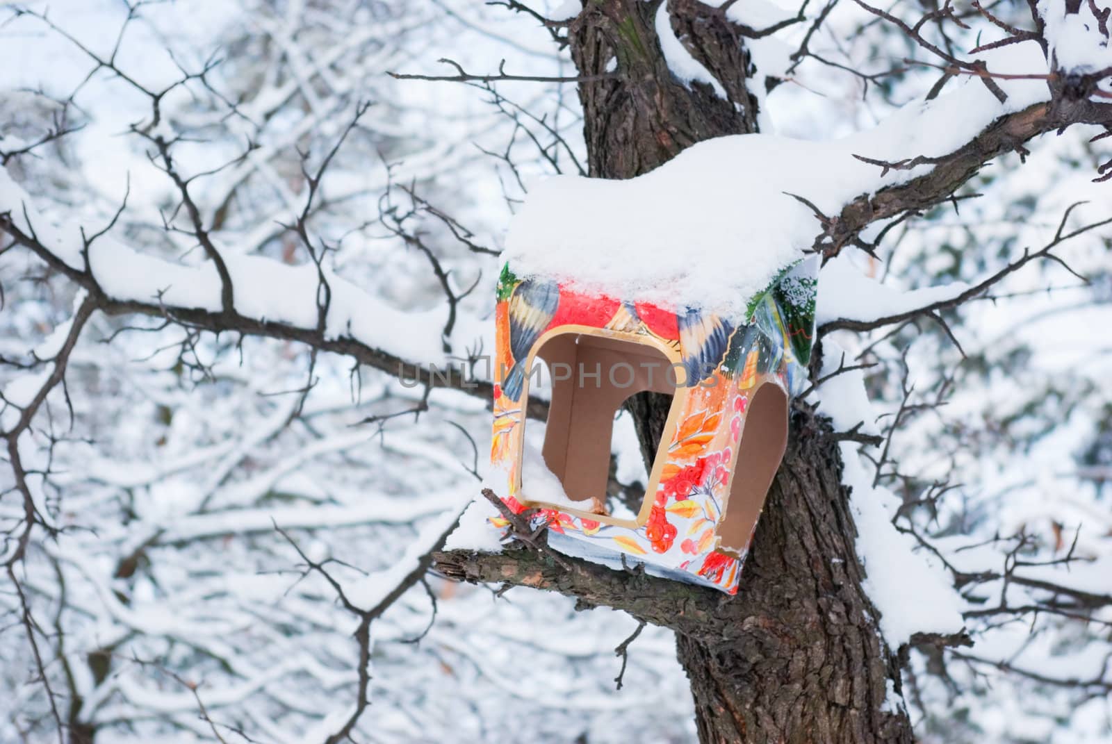 bird feeders carved from a cardboard box