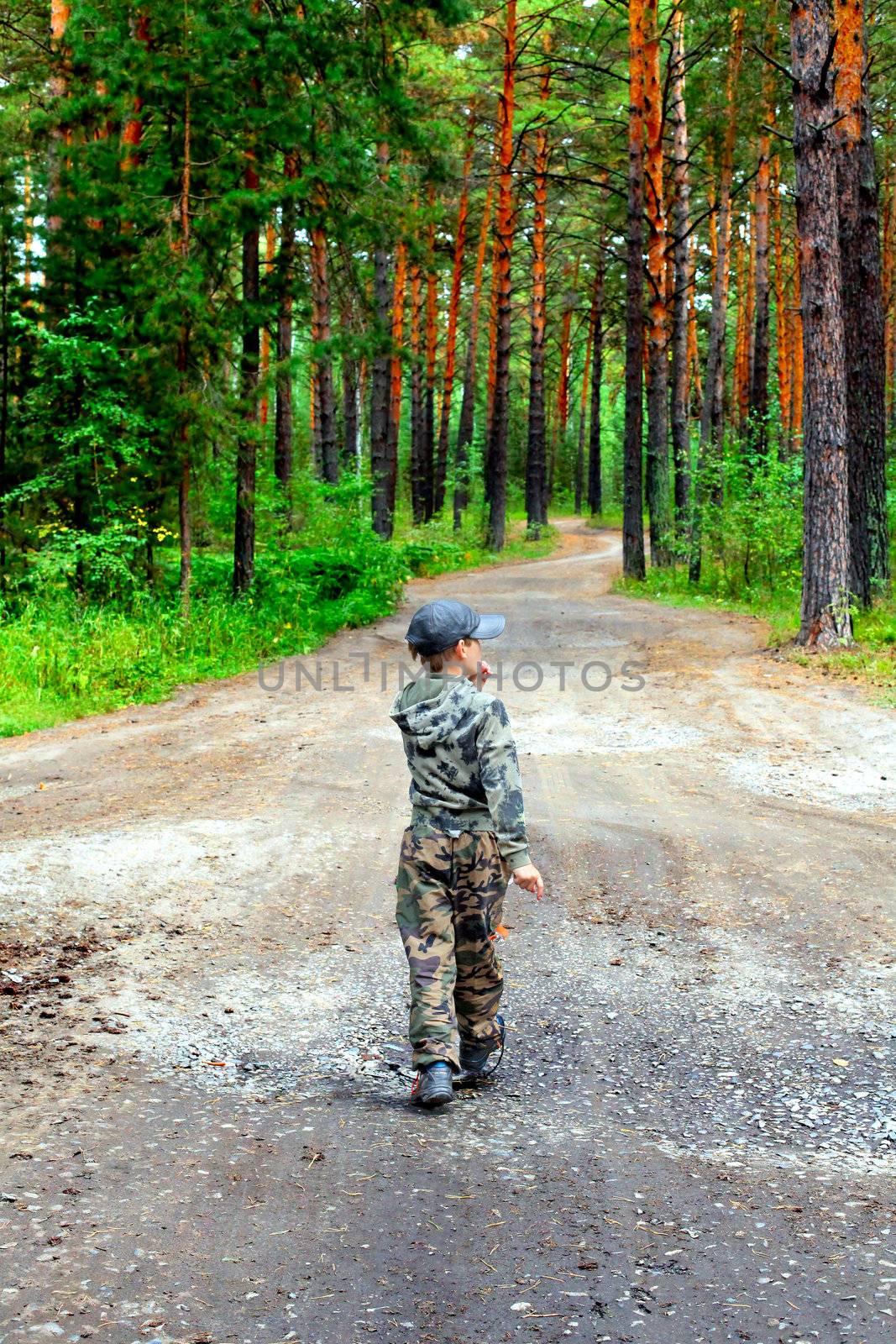 Lost Kid in the Summer Forest Alone