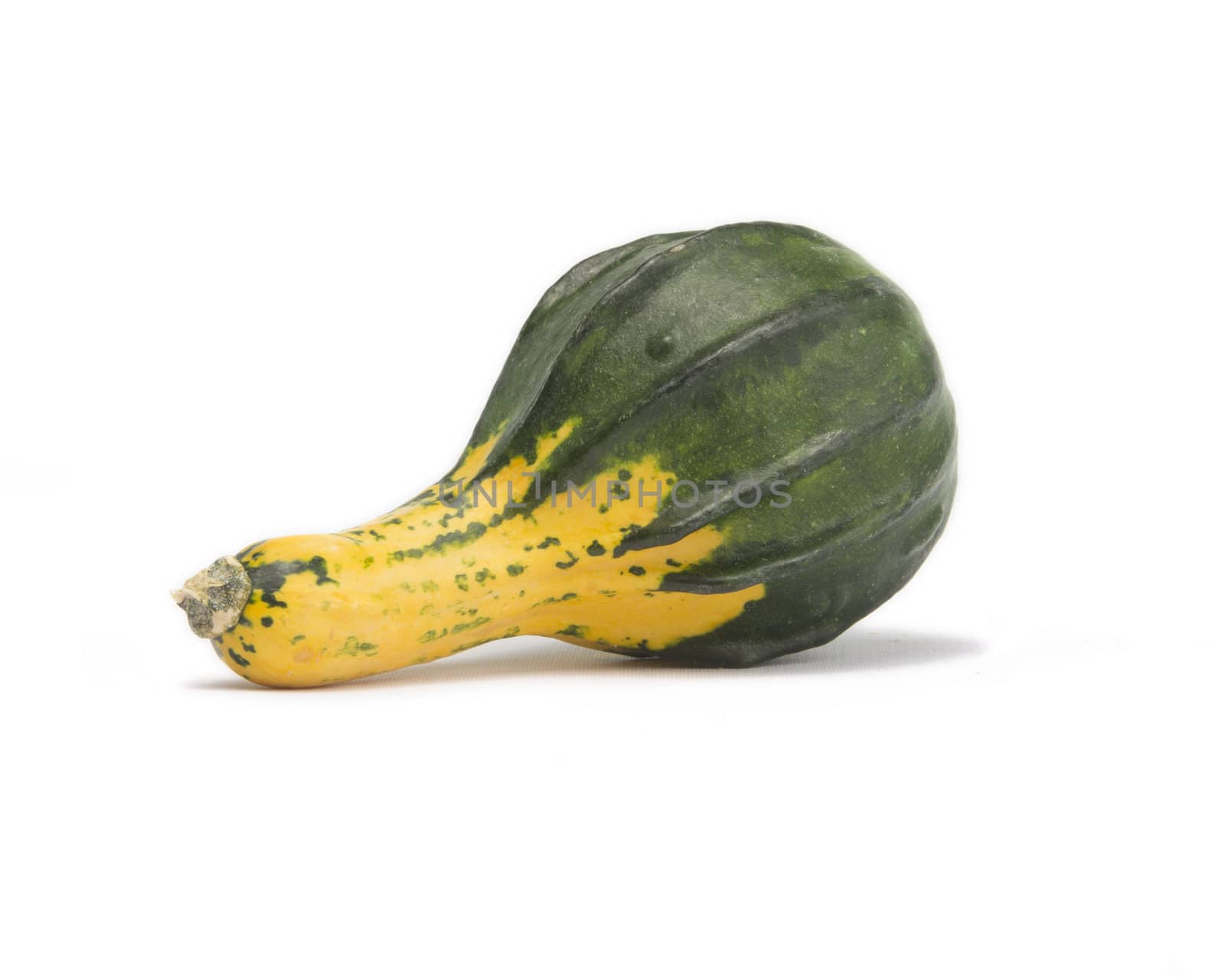 Green and yellow squash isolated on white background with light shadow