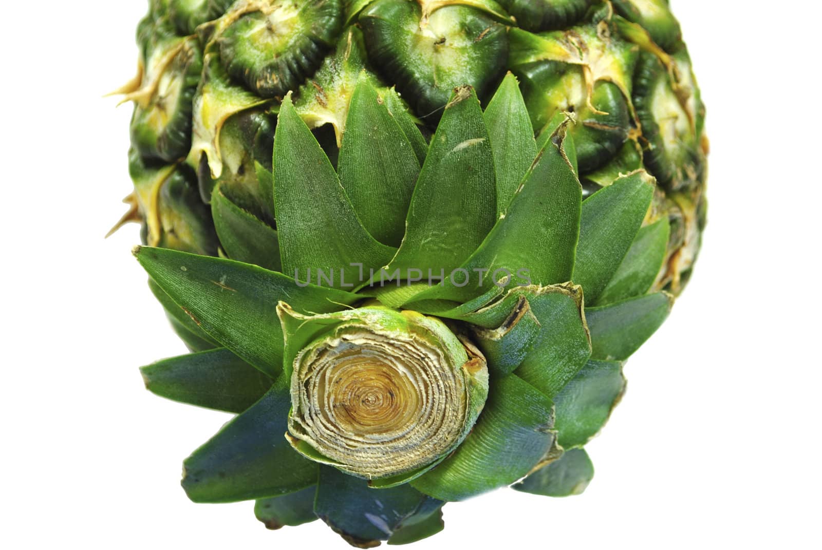 whole pineapple detail isolated on white background