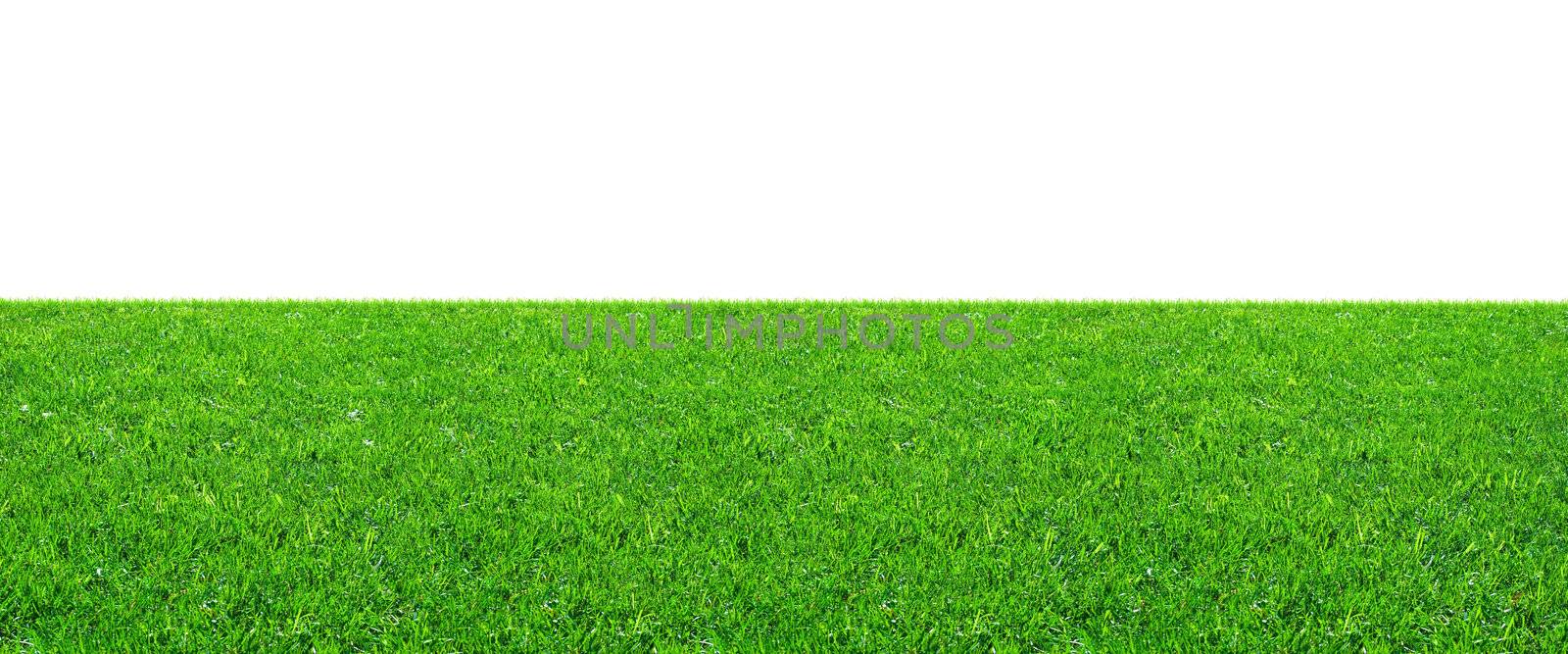 Green field by sailorr